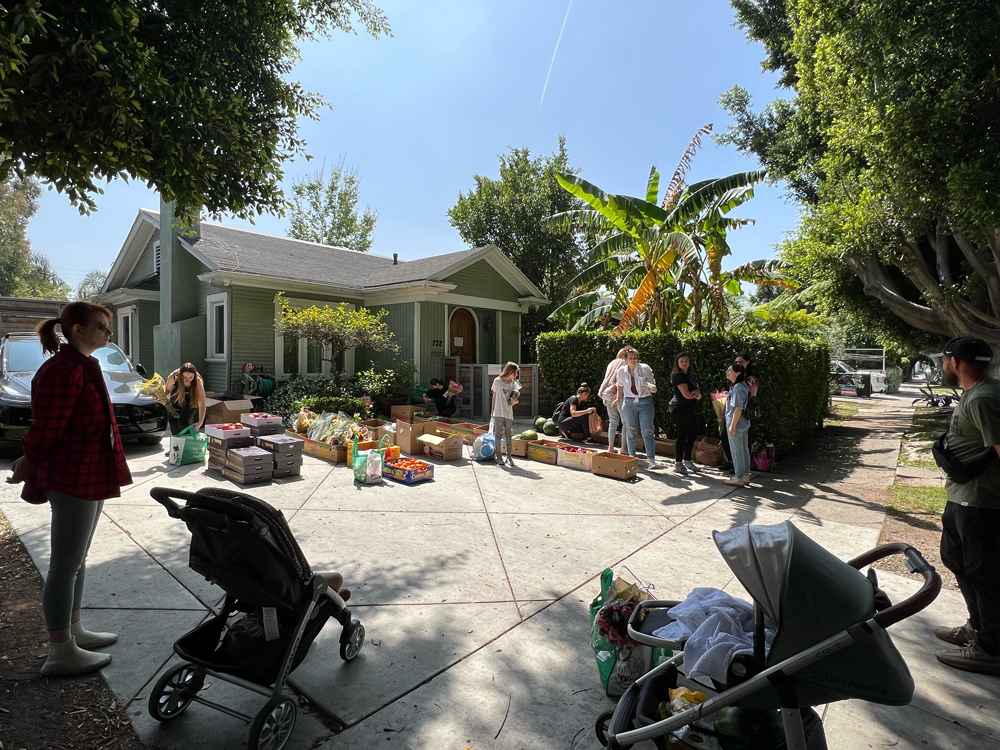 Food sorting and distribution taking place in the front yard of a sub-urban Los Angeles home.